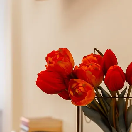 Apartment Iflat Spanish Steps Peaceful *