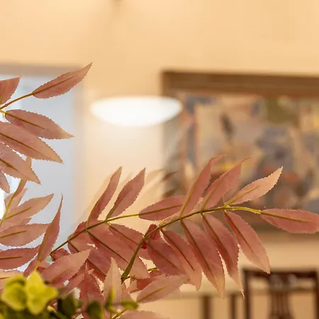 Apartment Iflat Spanish Steps Peaceful *